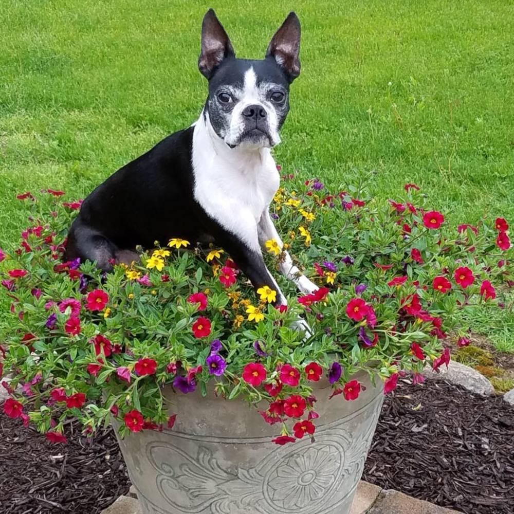 Meet your Posher, Shelly